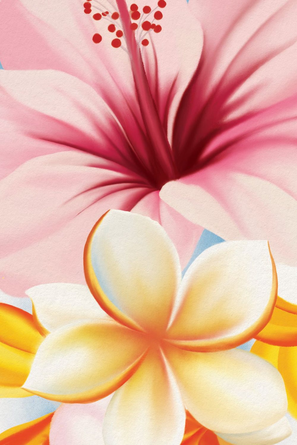 Hibiscus And Plumeria Blossoms