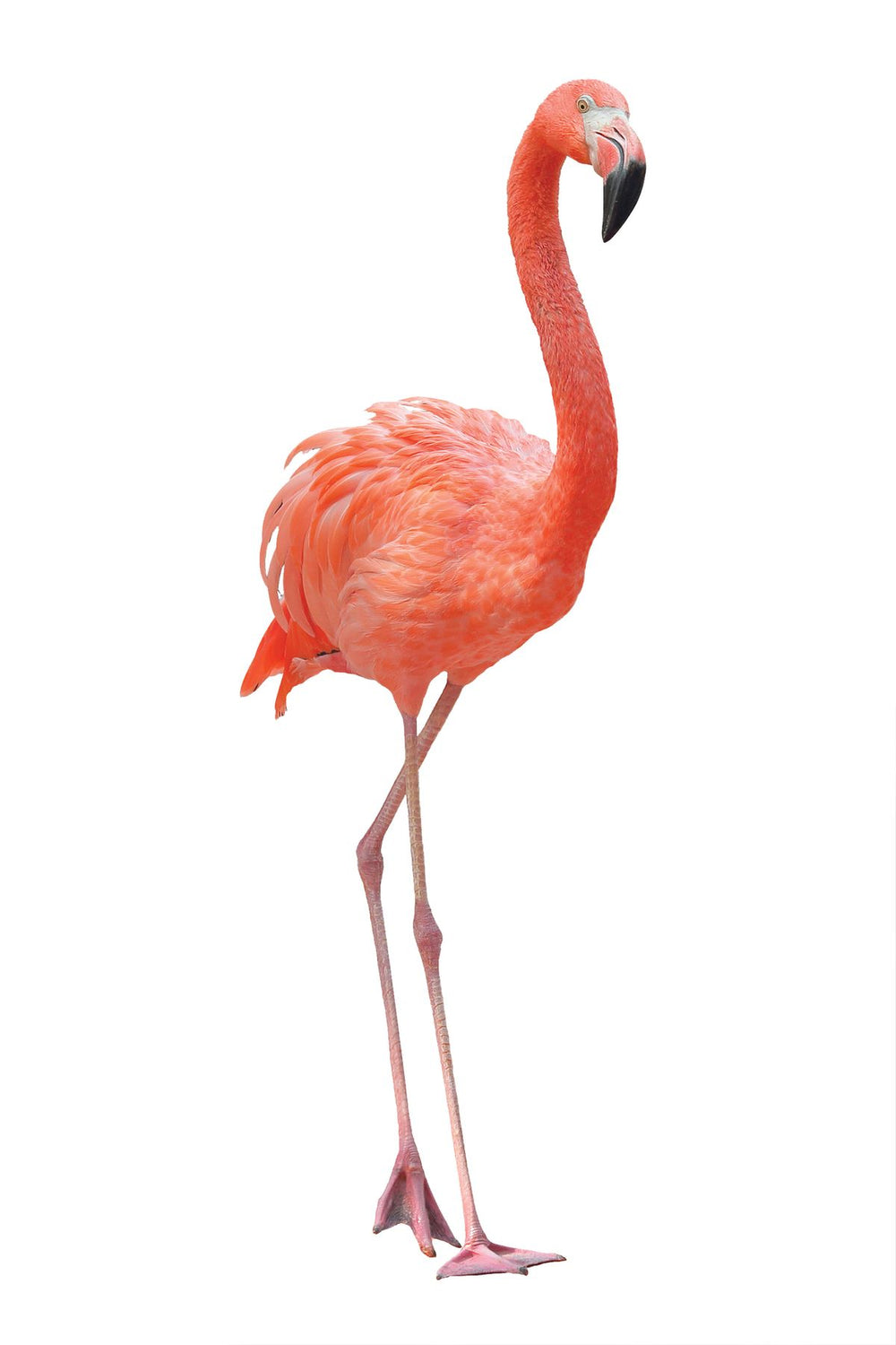 Pink Flamingo Figure