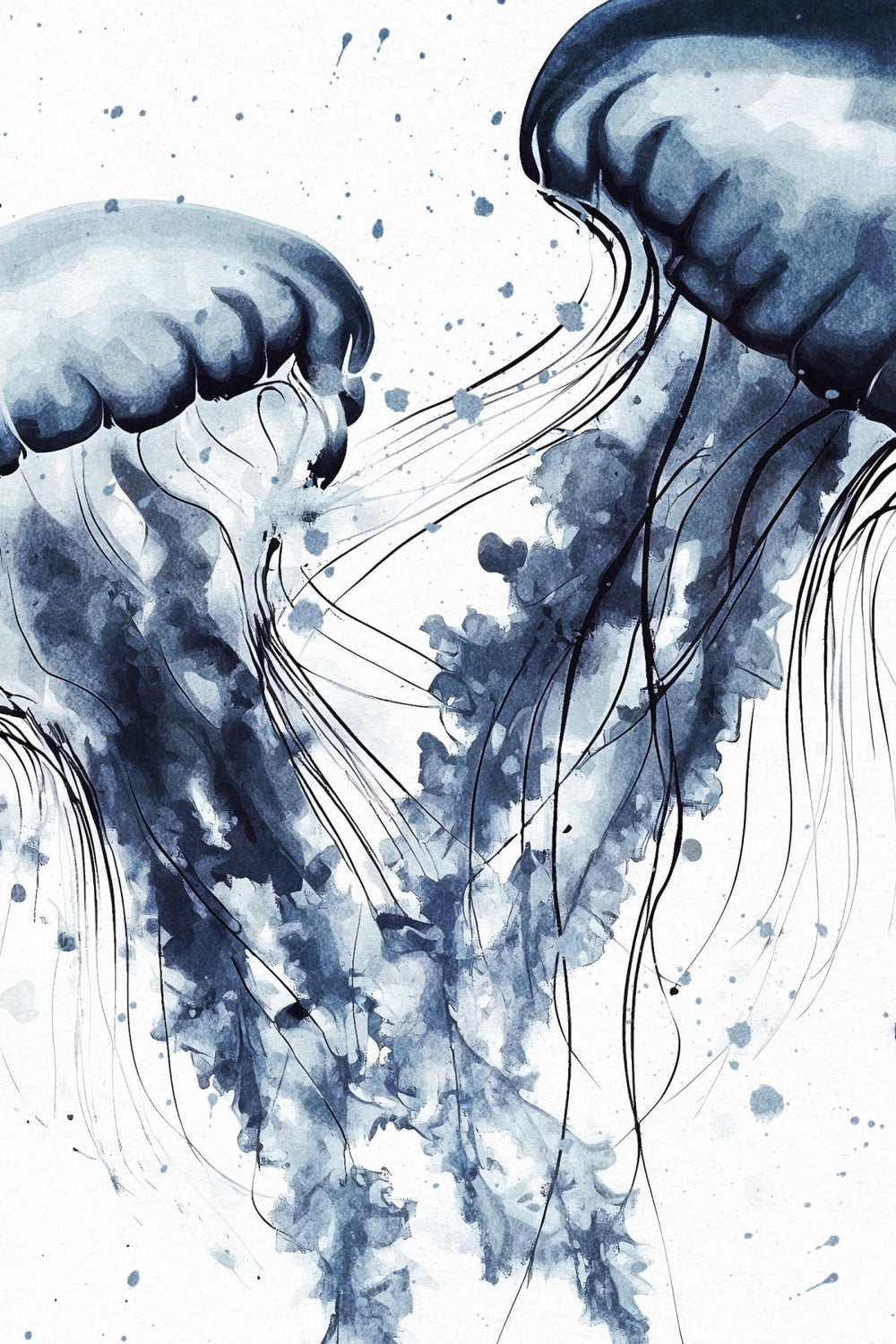 Dancing Navy Jellyfish