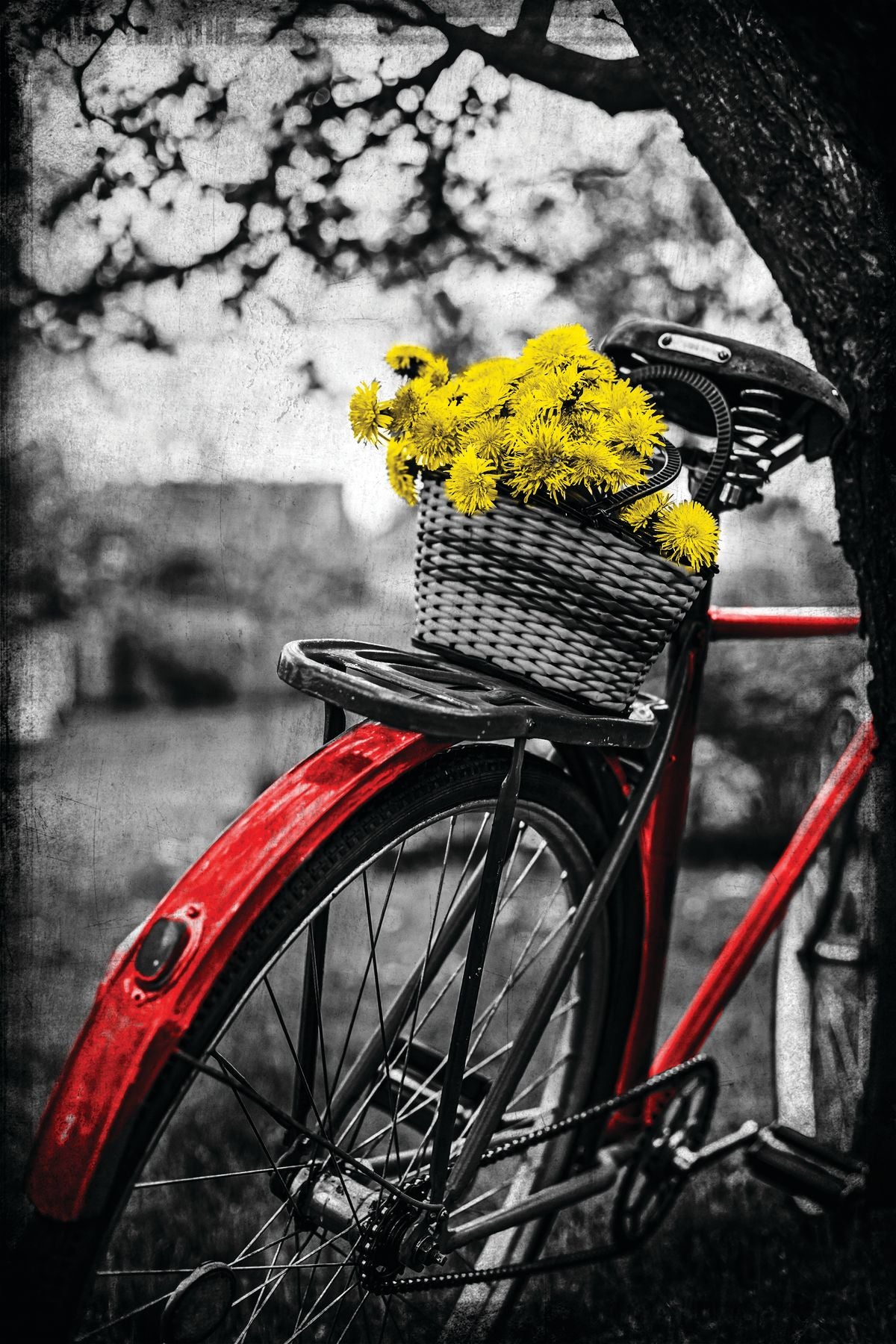 Dandelions Bike Pop