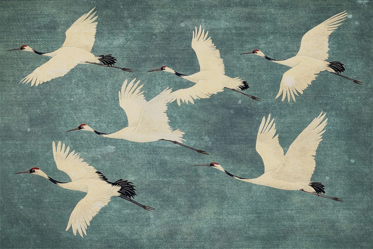 Flock Of Cranes