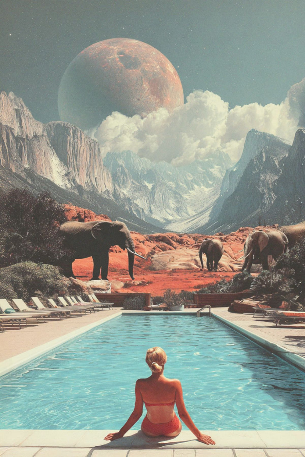 Swim In The Wild