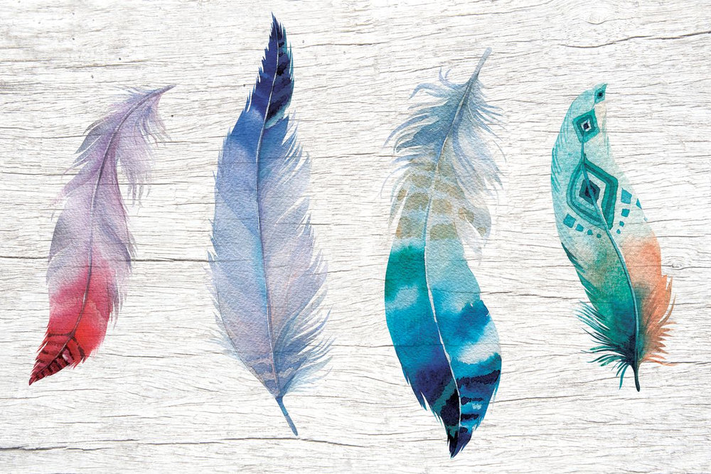 Colors And Patterns On Feathers