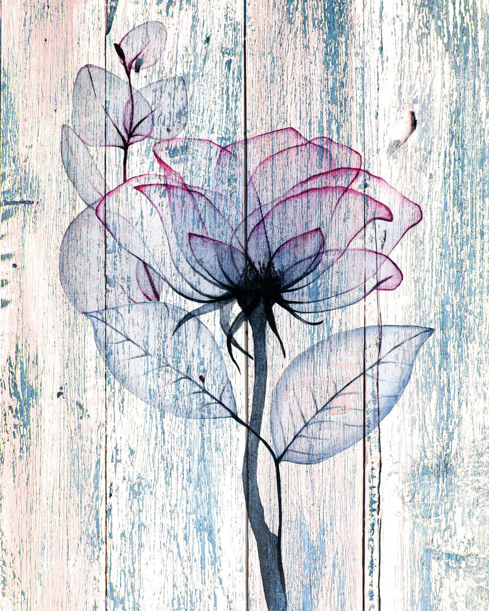 Blue Rose On Wood