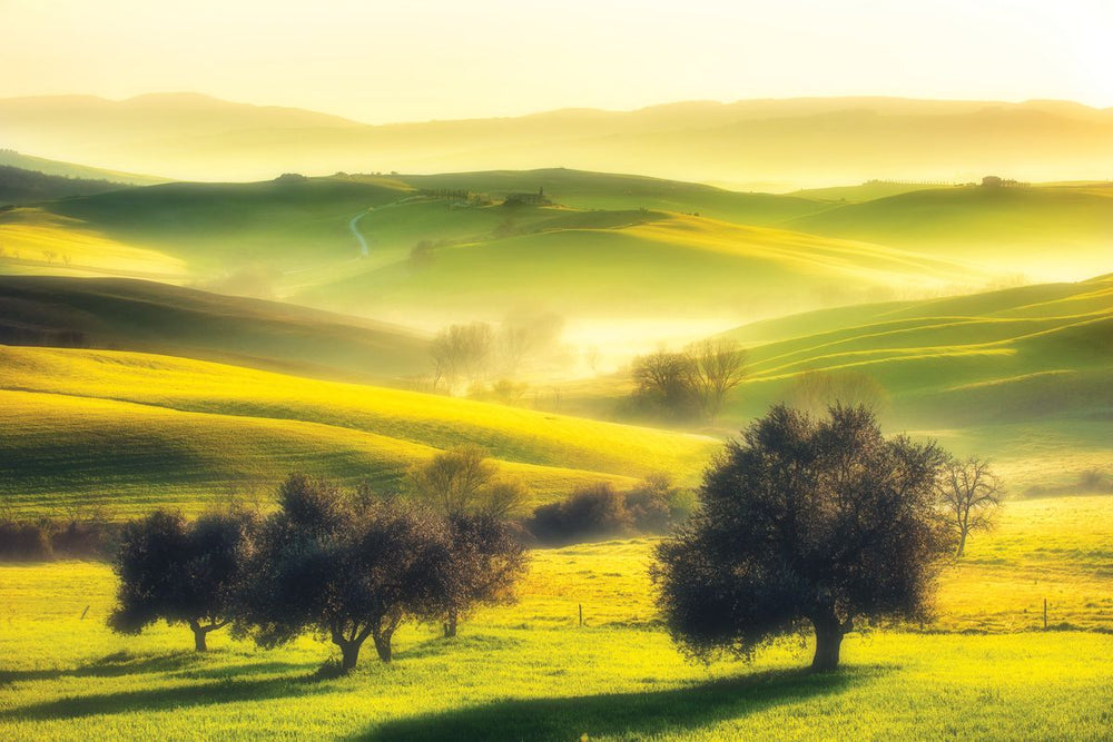 Tuscany's Green Fields