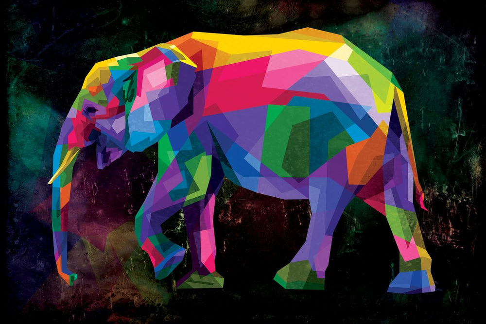 Geometric Color Elephant