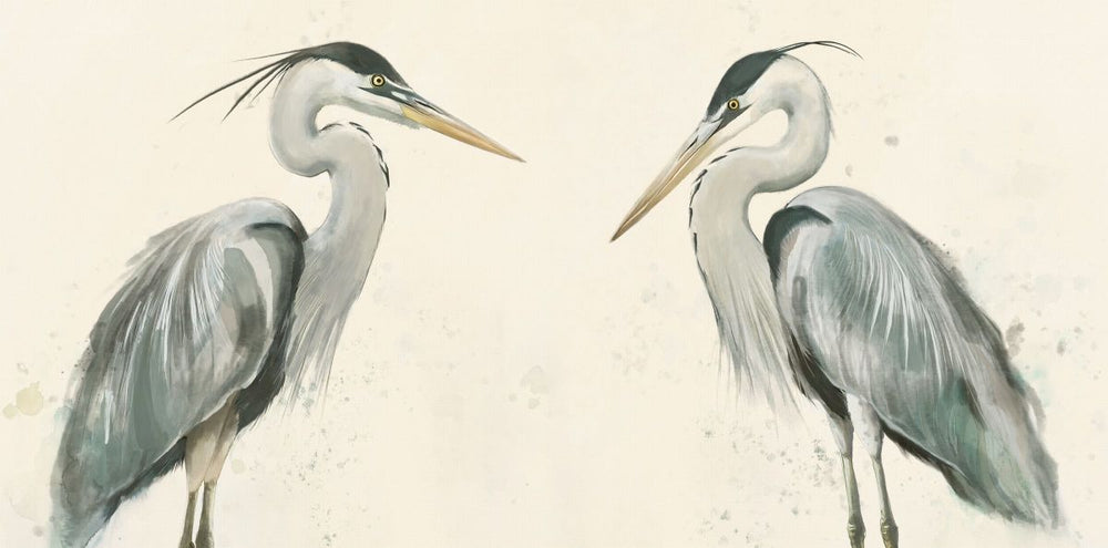 Marshland Herons