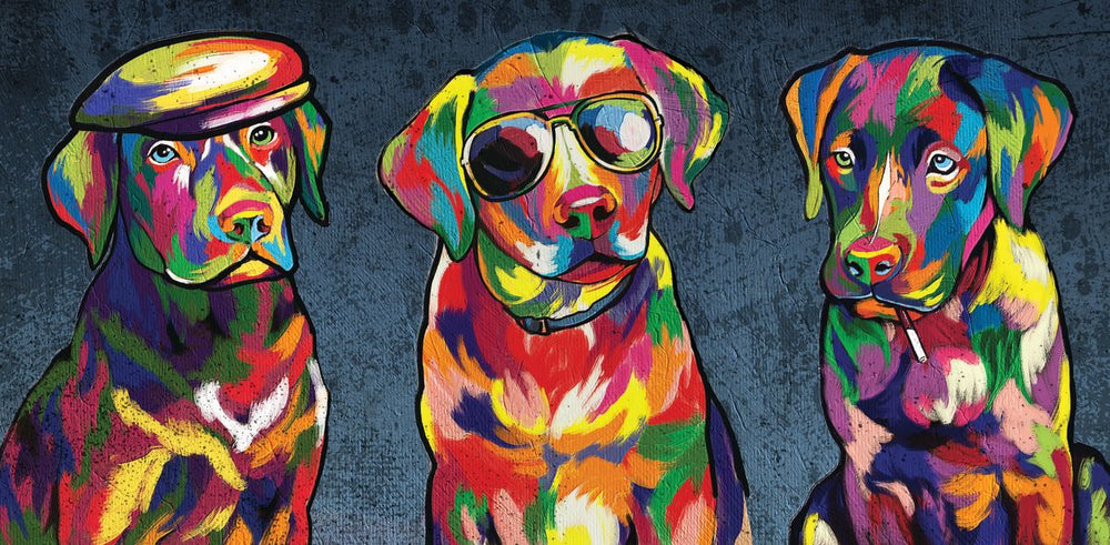 Cool Labradors Abstract Color