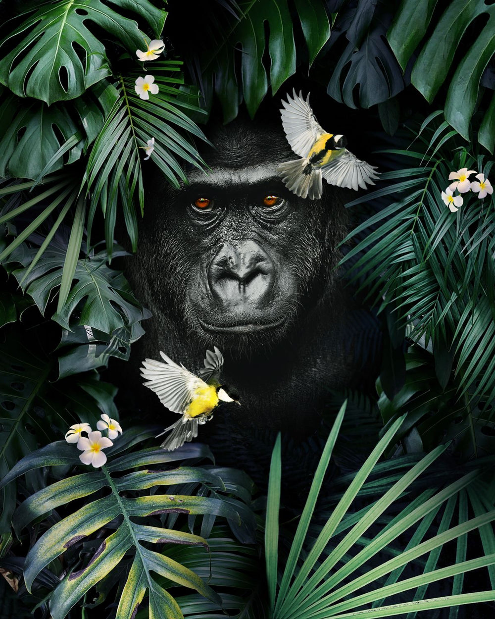 Green Jungle Gorilla