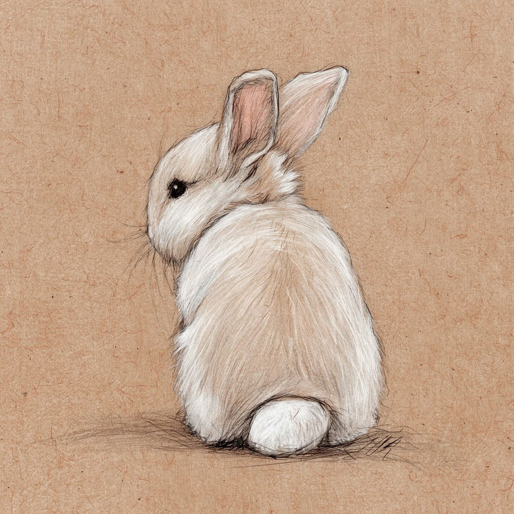 Single Bunny Sketch