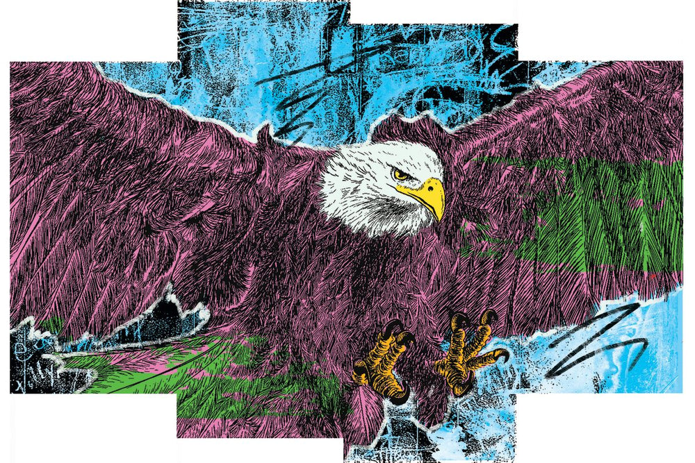 Bald Eagle Grunge