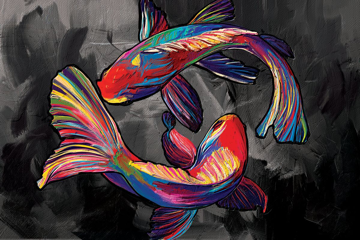 Siamese Fighting Fish Duo Abstract Color