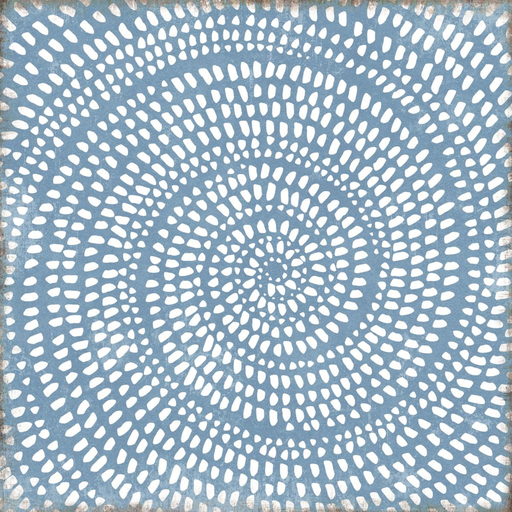 Dotted Ammonite Close-Up