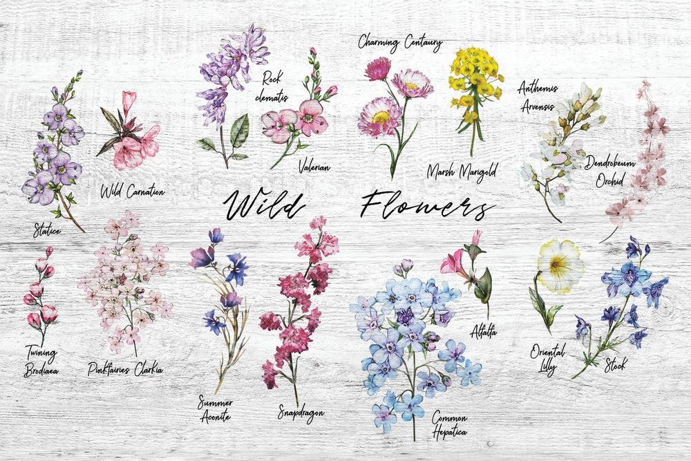Spring Wildflowers Chart