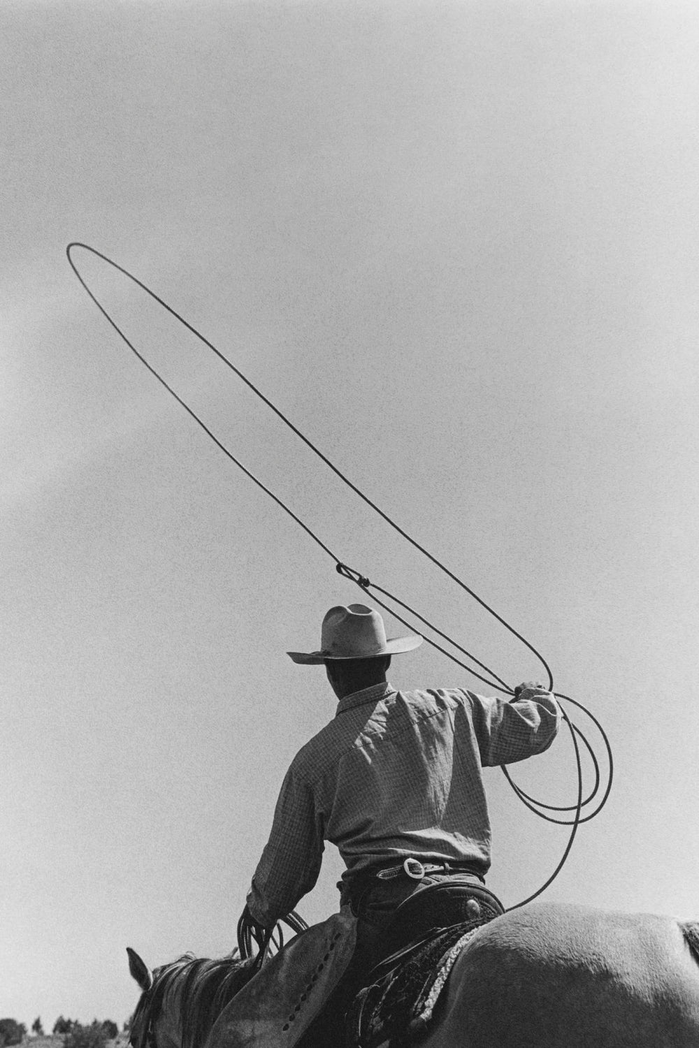 Cowboy On Horseback With Lasso