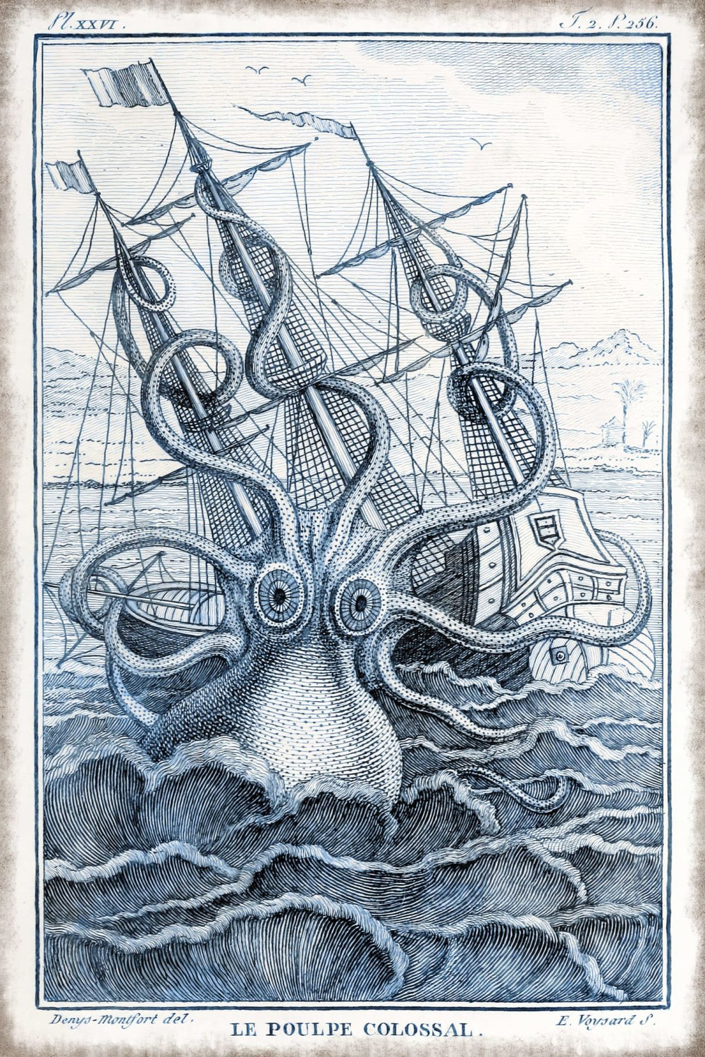 The Colossal Octopus