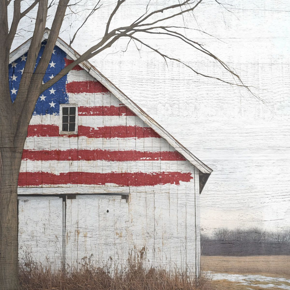 Freedom Flag Barn