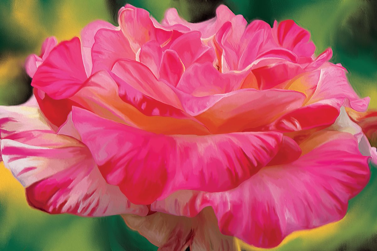 Ruffled Pink Rose