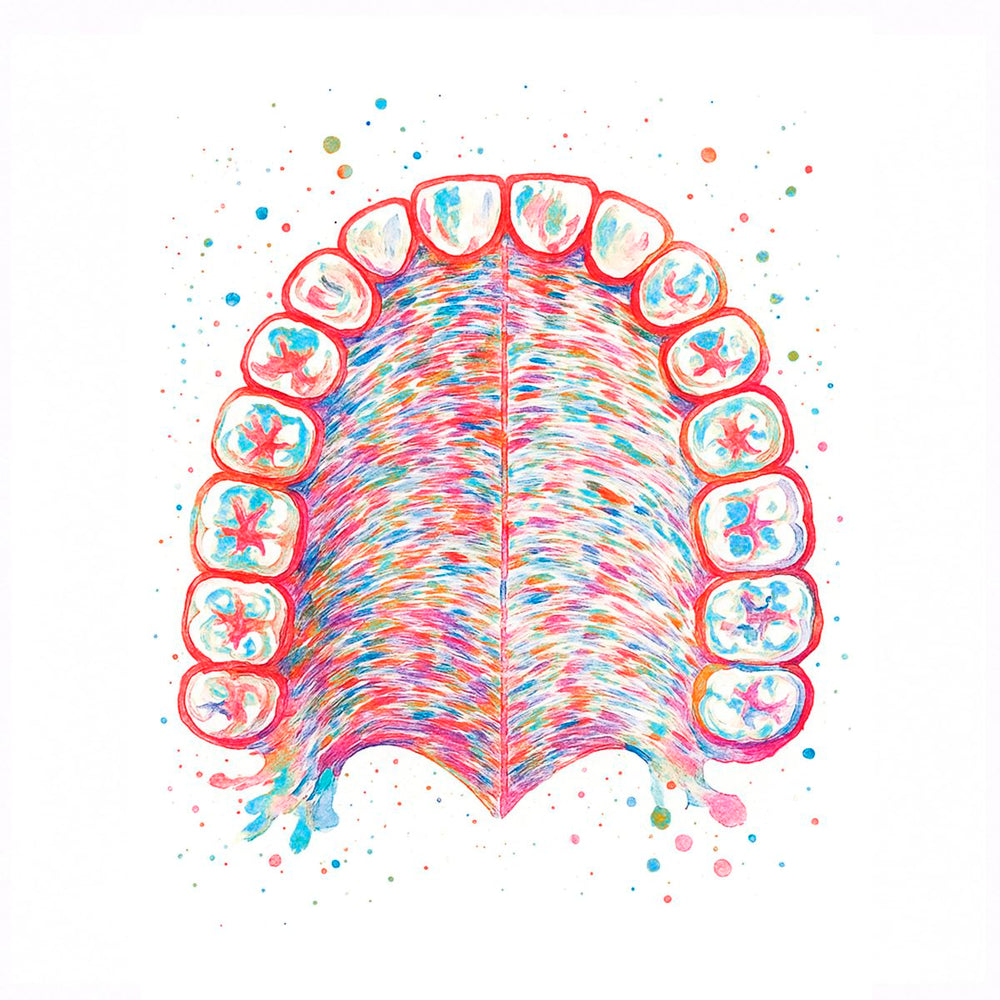 Perfect Lower Teeth