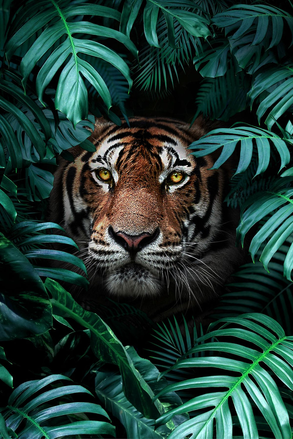 Tropical Bengal Tiger