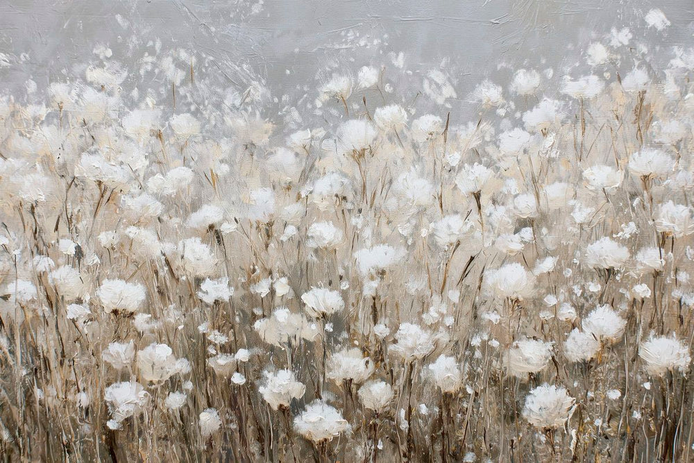 Open Field Of White