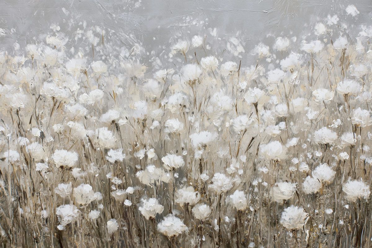 Open Field Of White