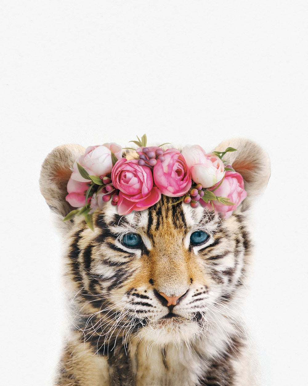Pink Flower Crown Tiger