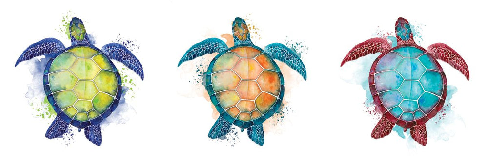 Colorful Turtle Group Smudge