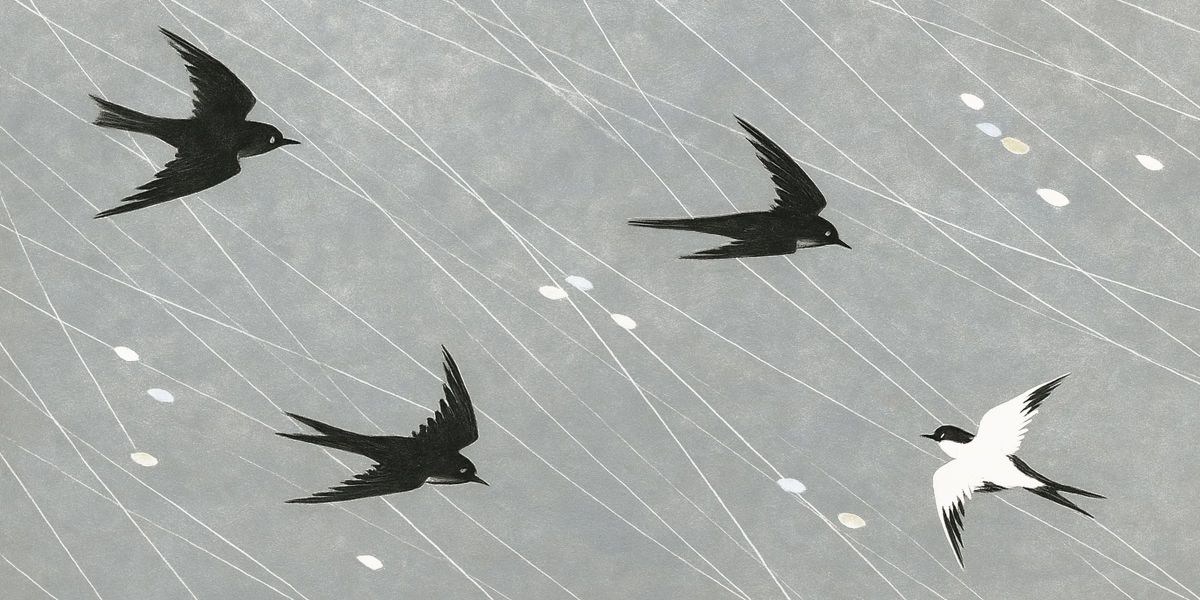 Bird Flying Toward Companions