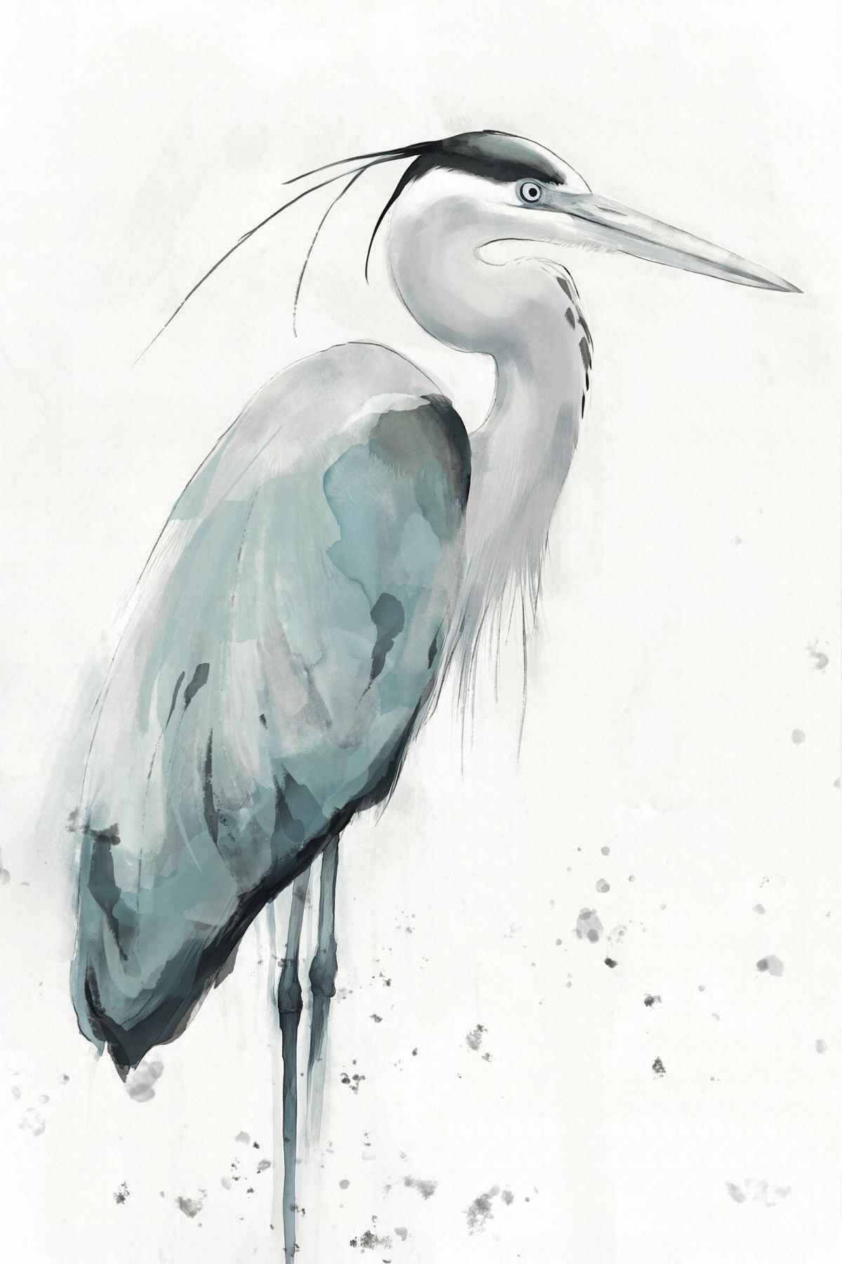 Regal Coastal Heron II