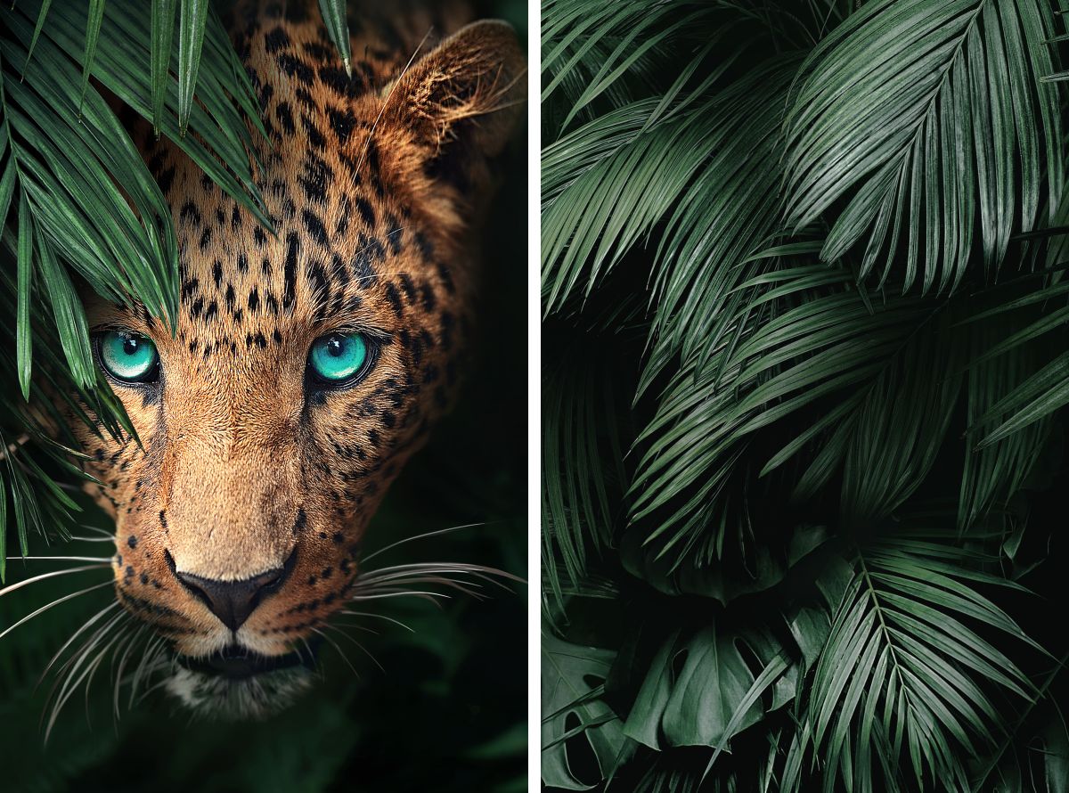 Sneaky Jungle Leopard