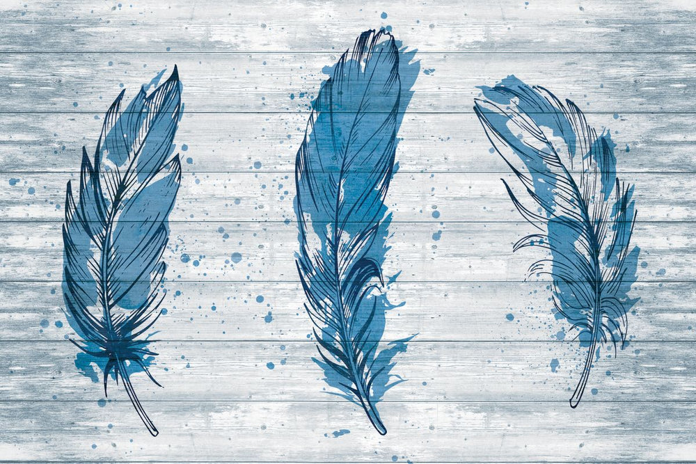 Blue Feathers On Wood