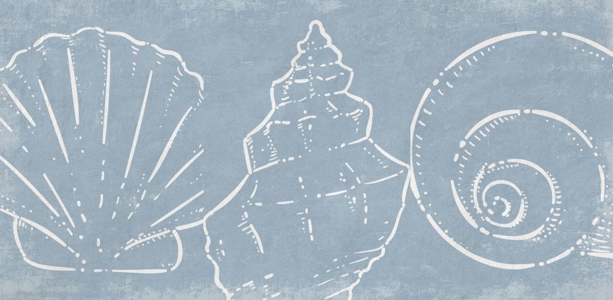Shells Outline II Wall Art
