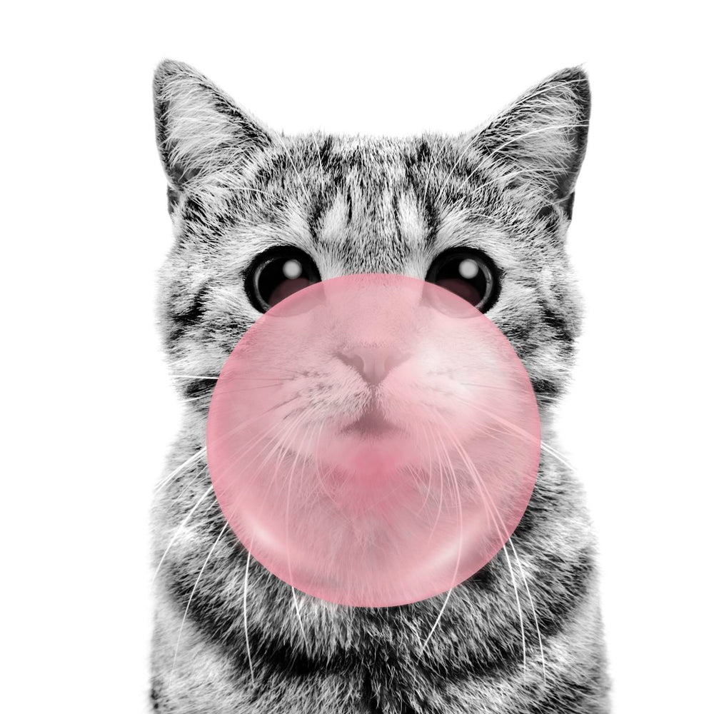 Kitty Bubble Gum
