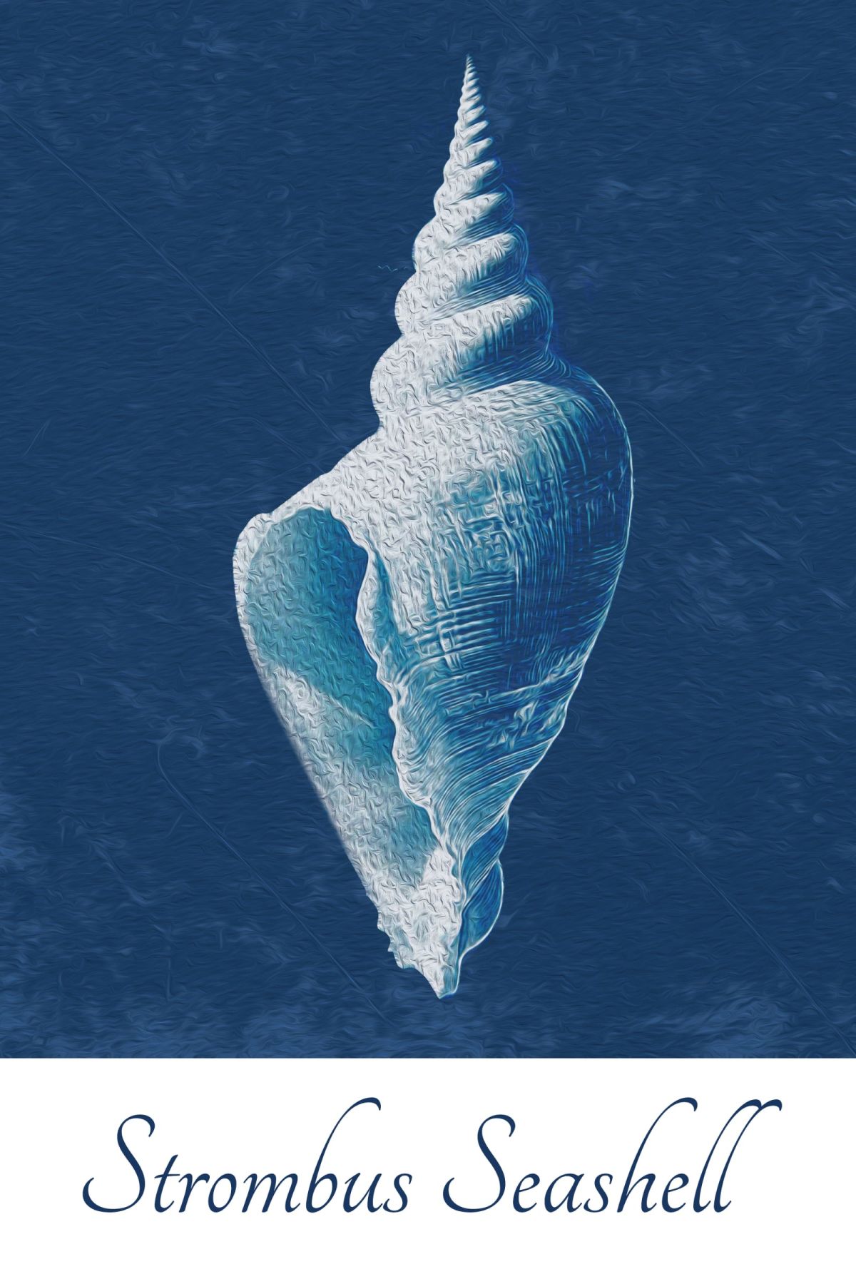Strombus Seashell On Blue