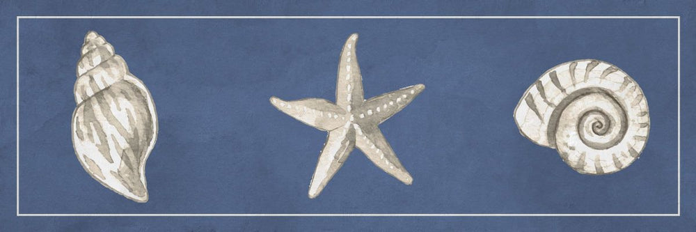 Shell Trios III