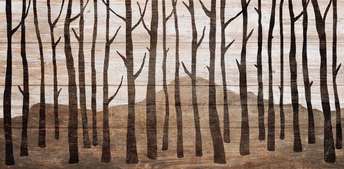 Wooden Bare Forest
