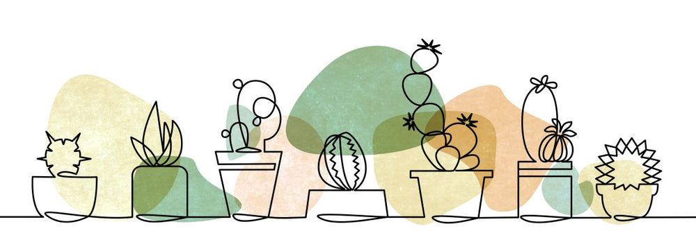 Potted Cactus Set Illustration