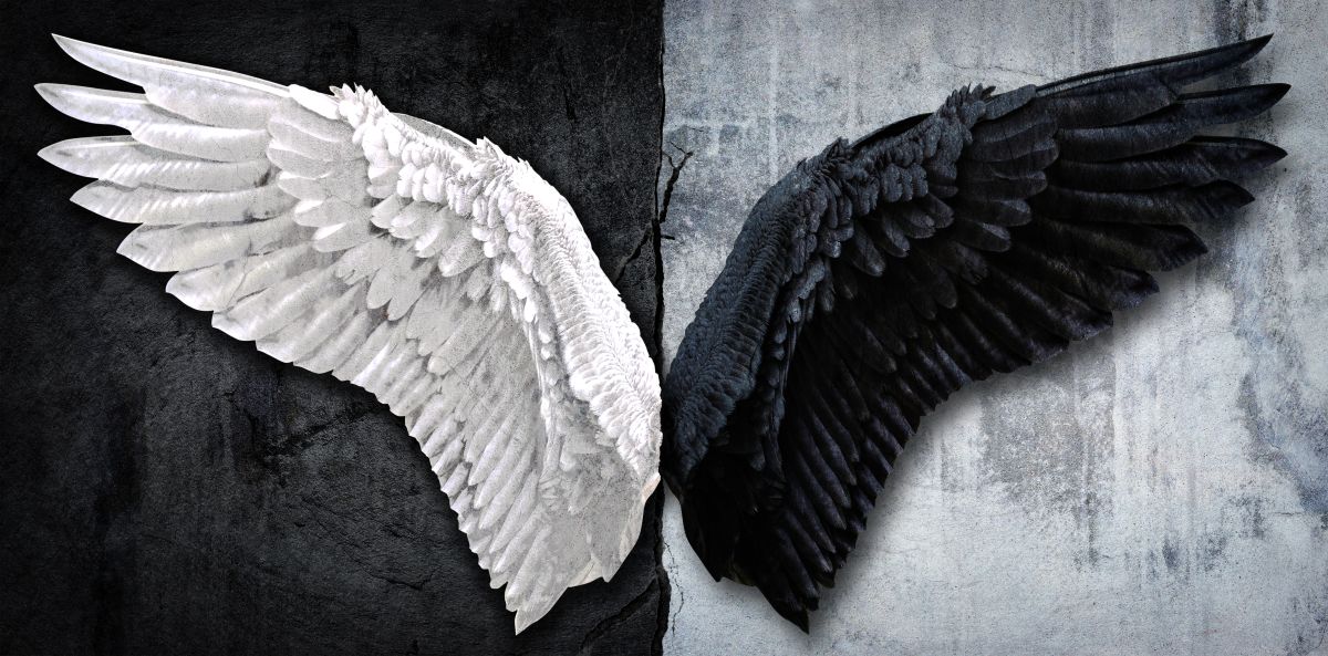 White And Black Angel Wings