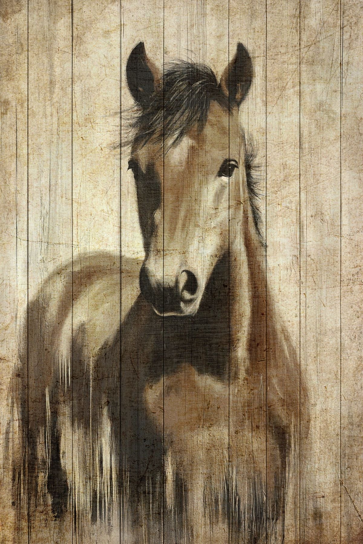 A Lone Horse