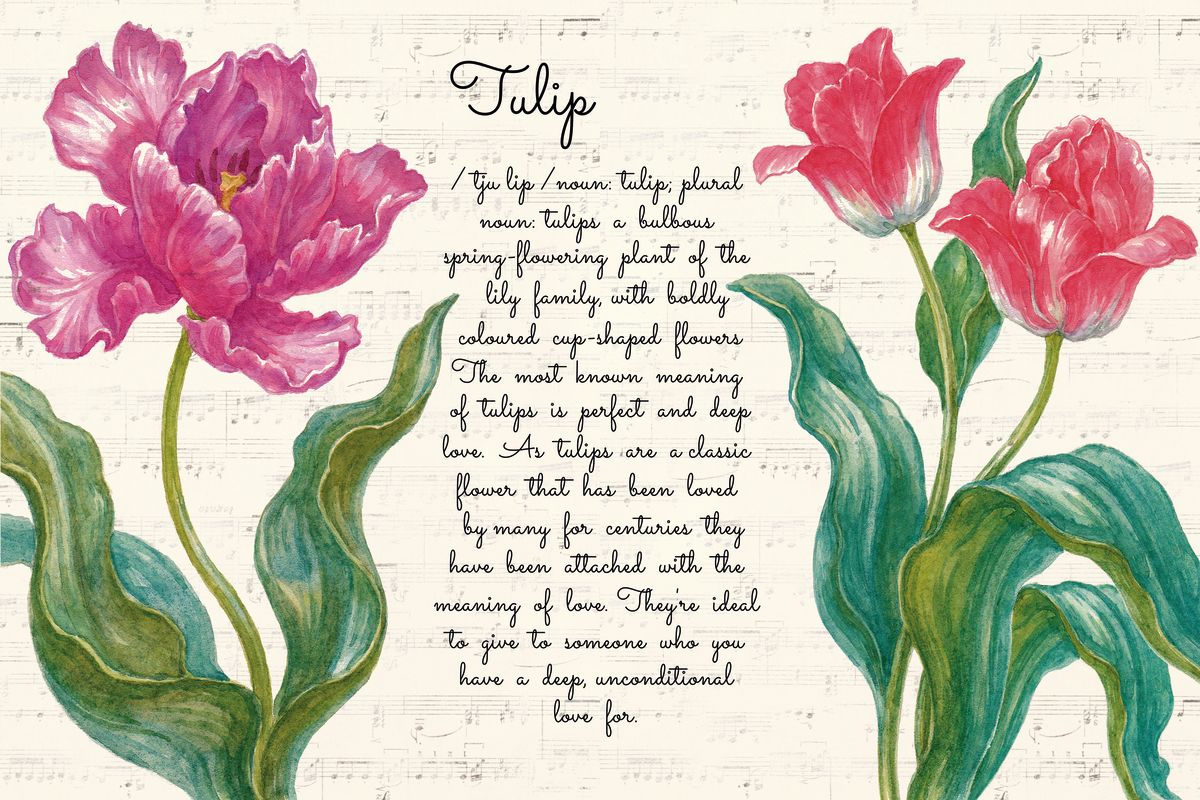 Tulip Definition