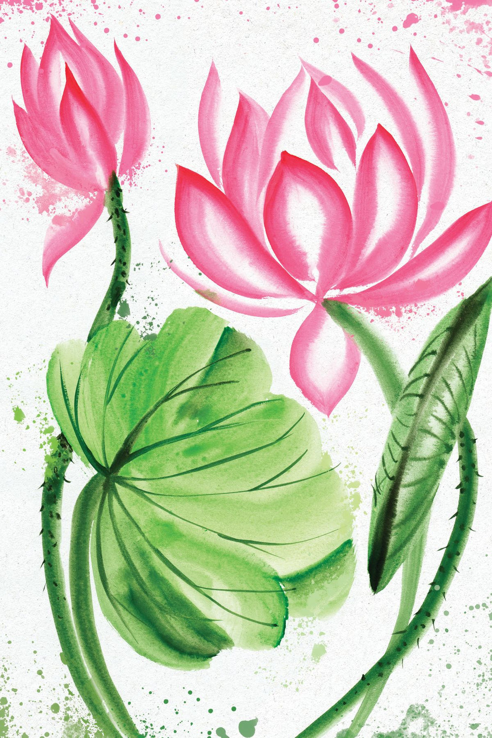 Blooming Lotus Flowers