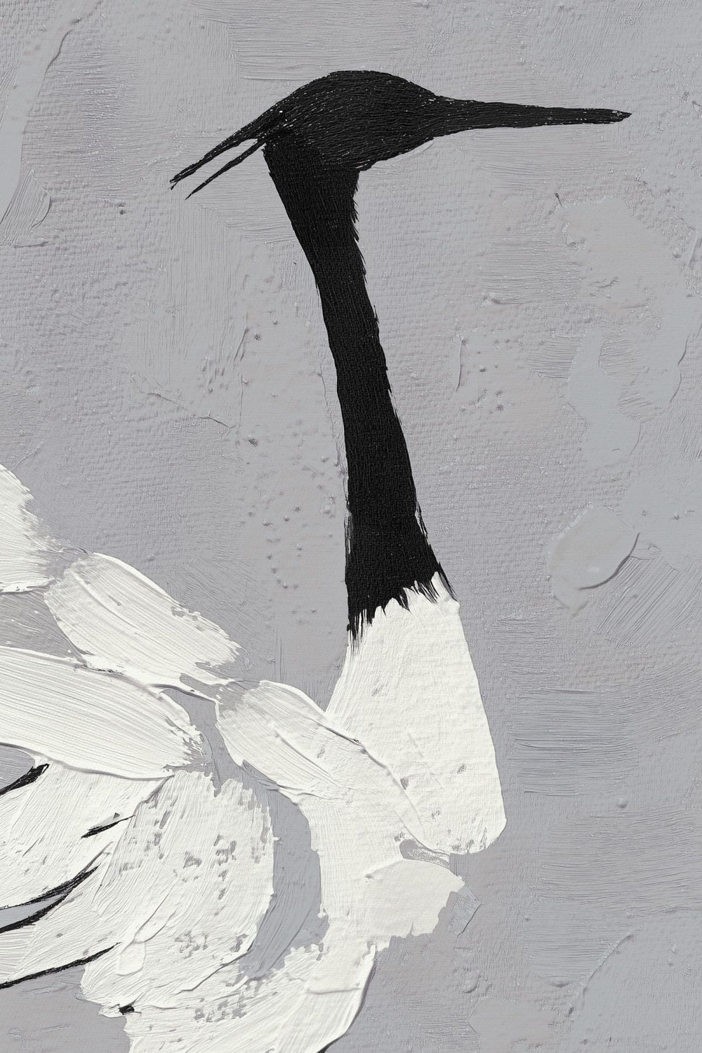A Black And White Bird