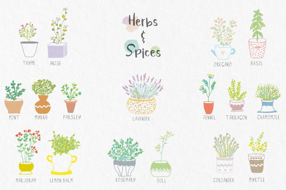 Potted Herbs And Spices Chart
