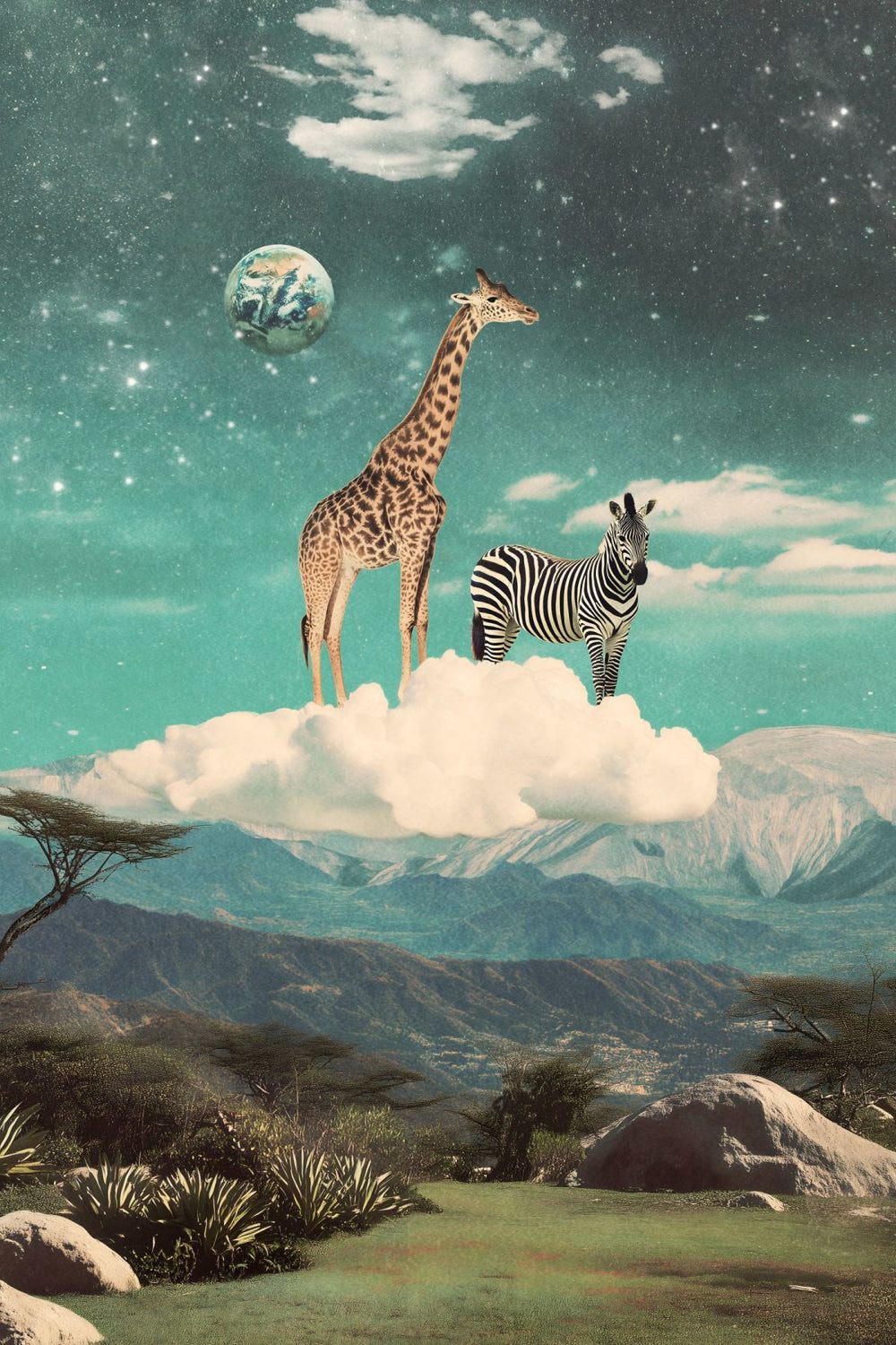 Animals On Clouds