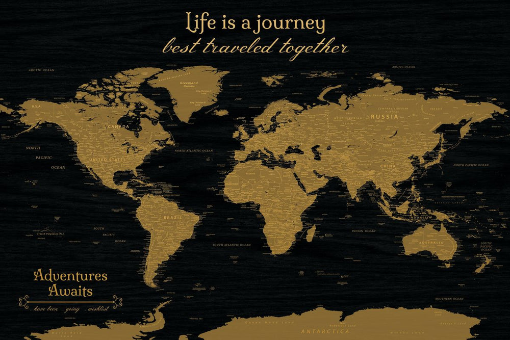 Life's Journey Push Pin World Map