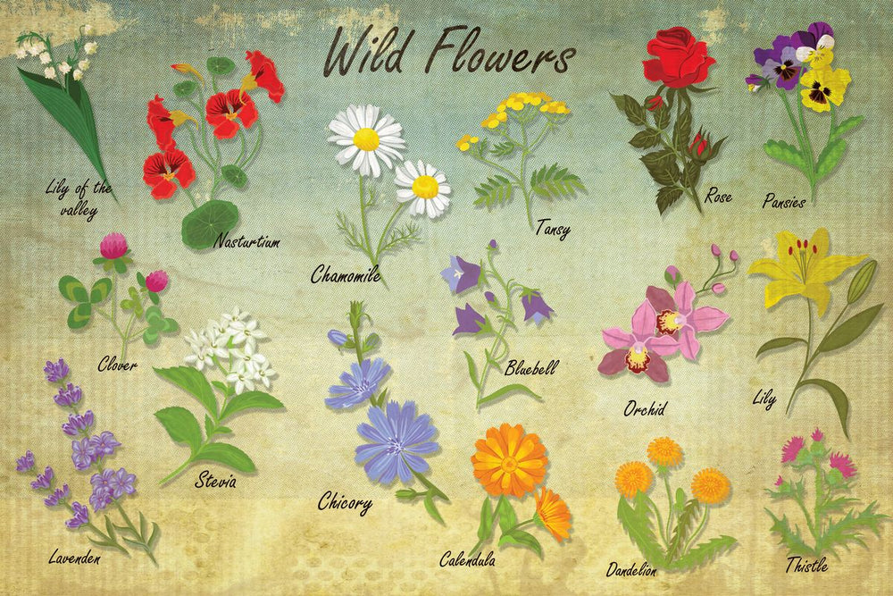 Wildflowers Chart