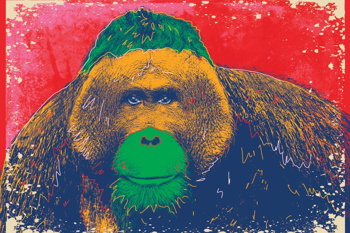 Colorful Orangutan Portrait
