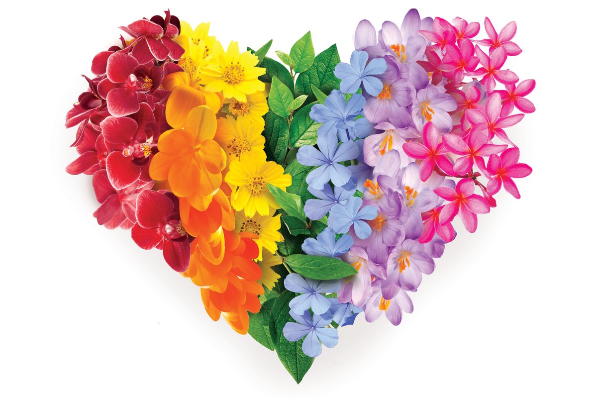 Rainbow Floral Heart