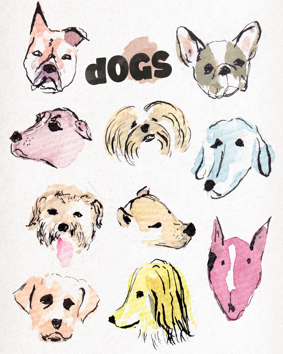 Dog Faces Chart